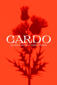 Imagen Cargando…